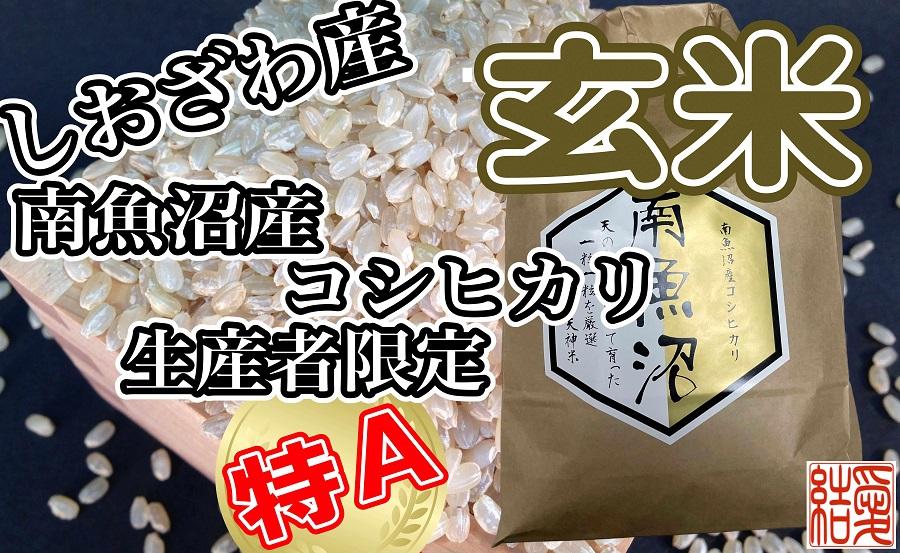 【令和7年産】【定期便】玄米 南魚沼しおざわ産コシヒカリ10Kg×6ヶ月