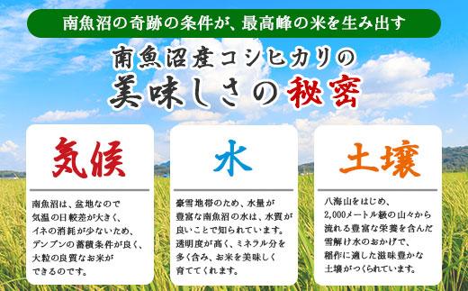 【無地熨斗】｜無洗米｜新潟県 南魚沼産 コシヒカリ お米 5kg（お米の美味しい炊き方ガイド付き）