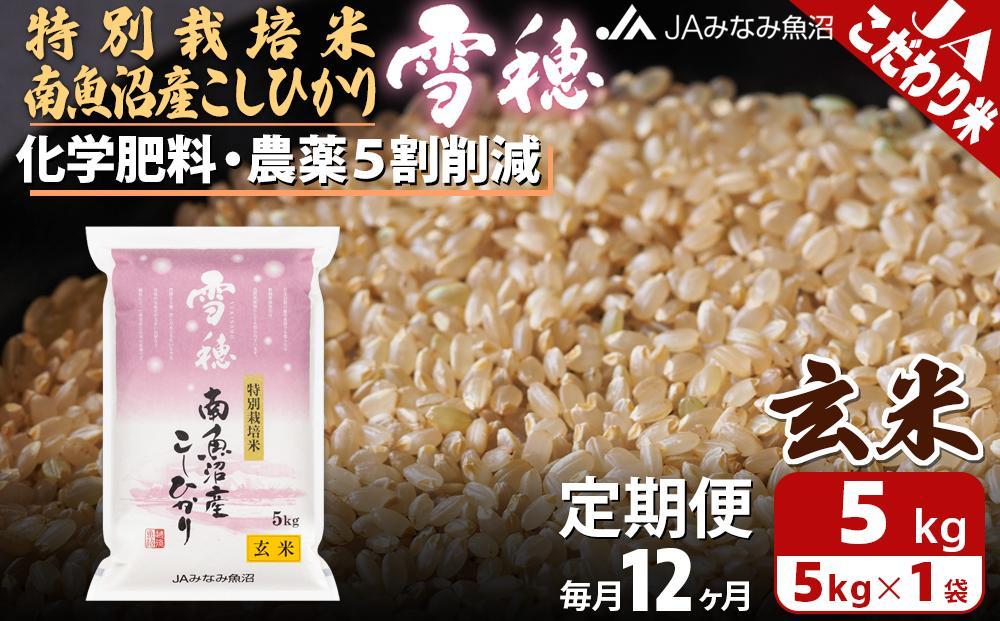 【JAみなみ魚沼定期便】特別栽培米南魚沼産こしひかり「雪穂」玄米（5kg×全12回）農薬5割削減 調整玄米 精選玄米 特A獲得日本一産地 高品質精米 もっちり甘い 南魚沼産コシヒカリ