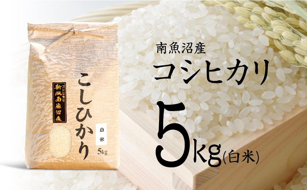 【令和6年産 新米】南魚沼産コシヒカリ（白米）【5kg】【米 お米 こしひかり 南魚沼 米 玄米 白米 無洗米 こめ 新潟 米】