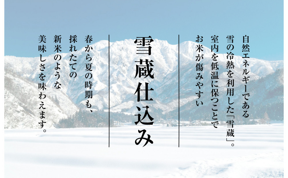雪温精法　南魚沼産こしひかり4kg　無洗米　契約栽培  雪蔵貯蔵米【銘柄米 ブランド米 無洗米 こしひかり コシヒカリ魚沼産 新潟米 新潟県産 産地直送 ご飯 御飯 ごはん お米 米 こめ コメ】