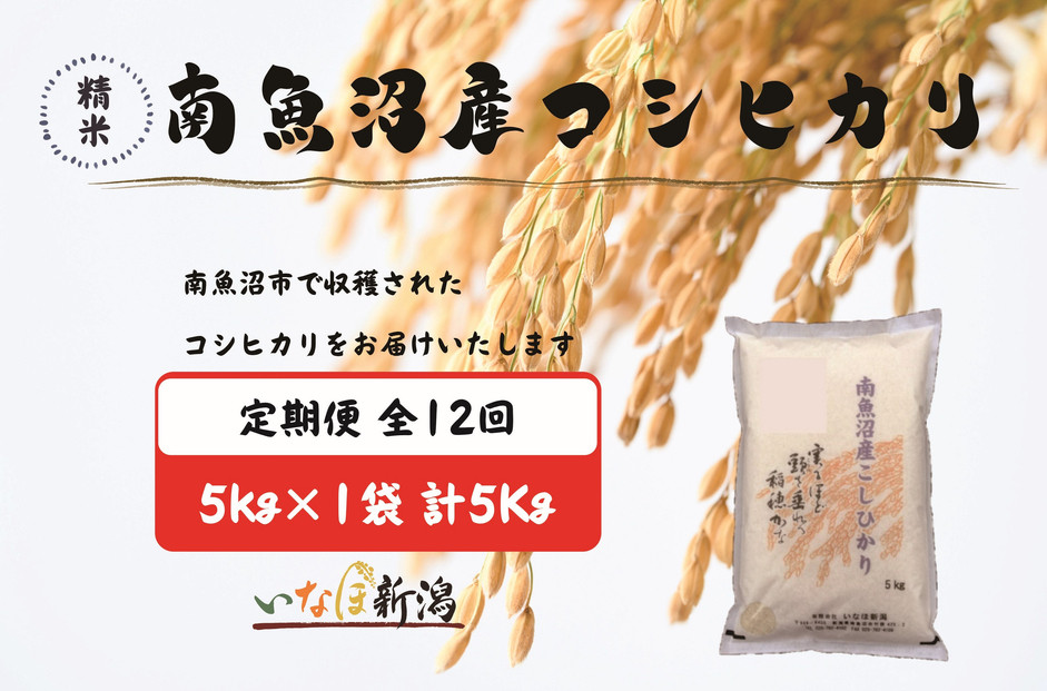 【令和7年産】【定期配送】南魚沼産コシヒカリ 白米 5kg 全12回