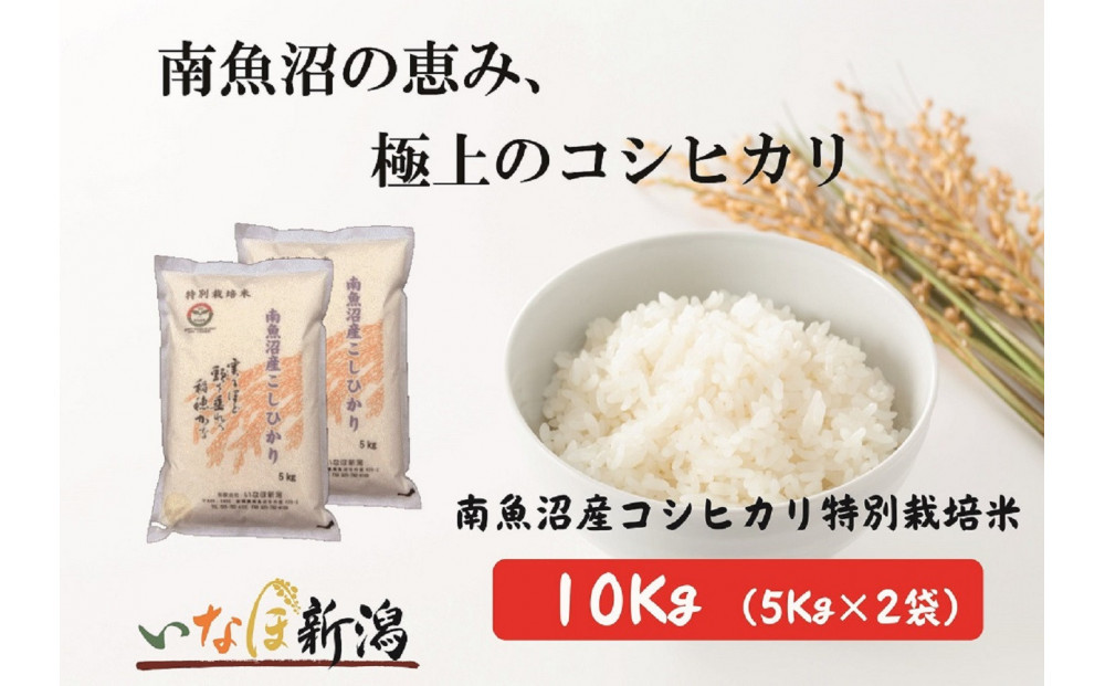 令和7年産 南魚沼産コシヒカリ特別栽培米 白米 10kg(5kg×2)