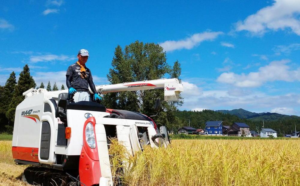 【生産者直送】【令和７年産 】 南魚沼産こしひかり10kg(5kg×２) 白米 オグライスファーム＜コシヒカリ 精米 農家直送＞　