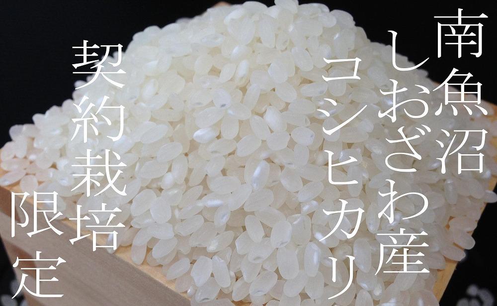 【令和7年産】【定期便２Kg×3ヶ月】契約栽培限定 南魚沼しおざわ産コシヒカリ