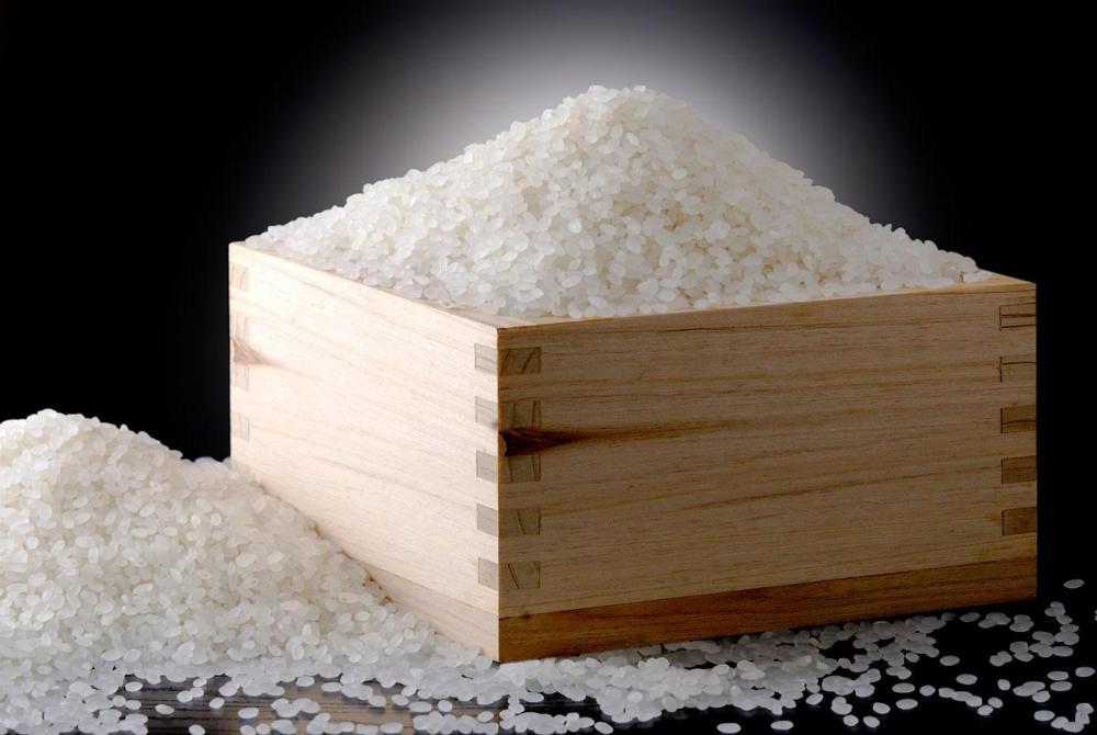 【のし付き】【令和5年産】【高級】南魚沼塩沢産こしひかり玄米（5kg）新潟県 特A地区の美味しいお米。