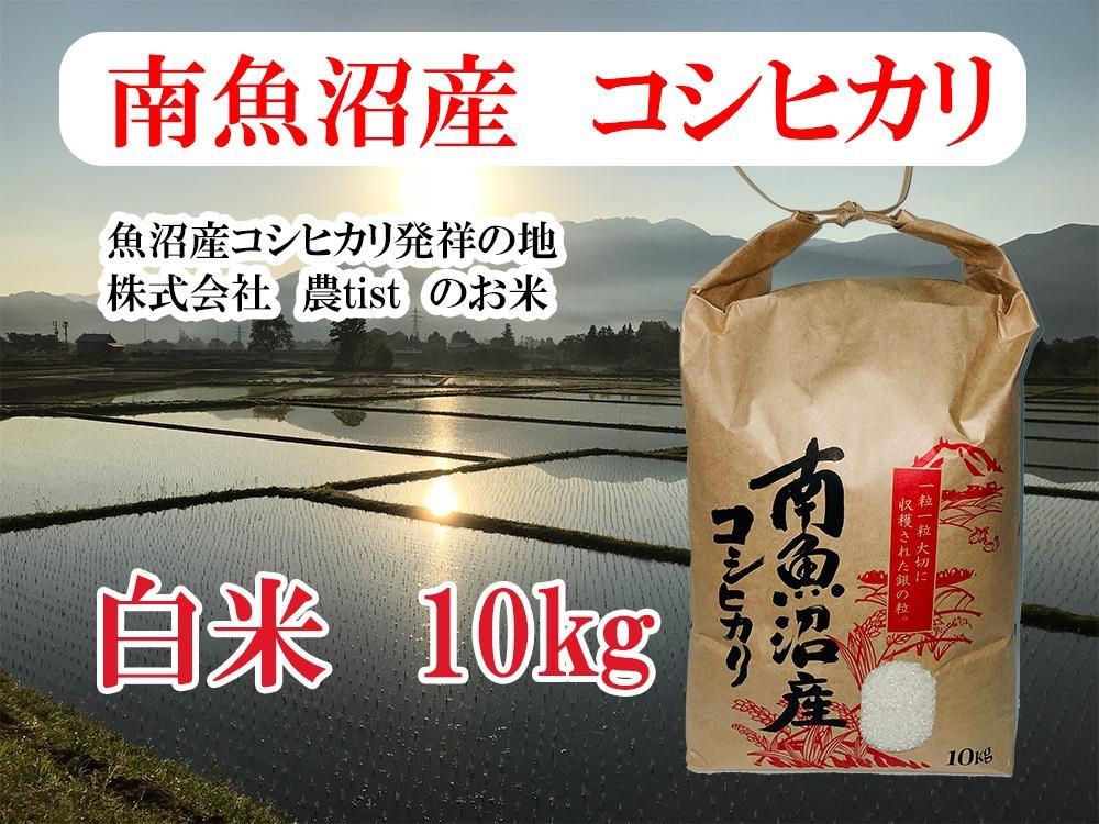 【南魚沼産】コシヒカリ 白米10kg