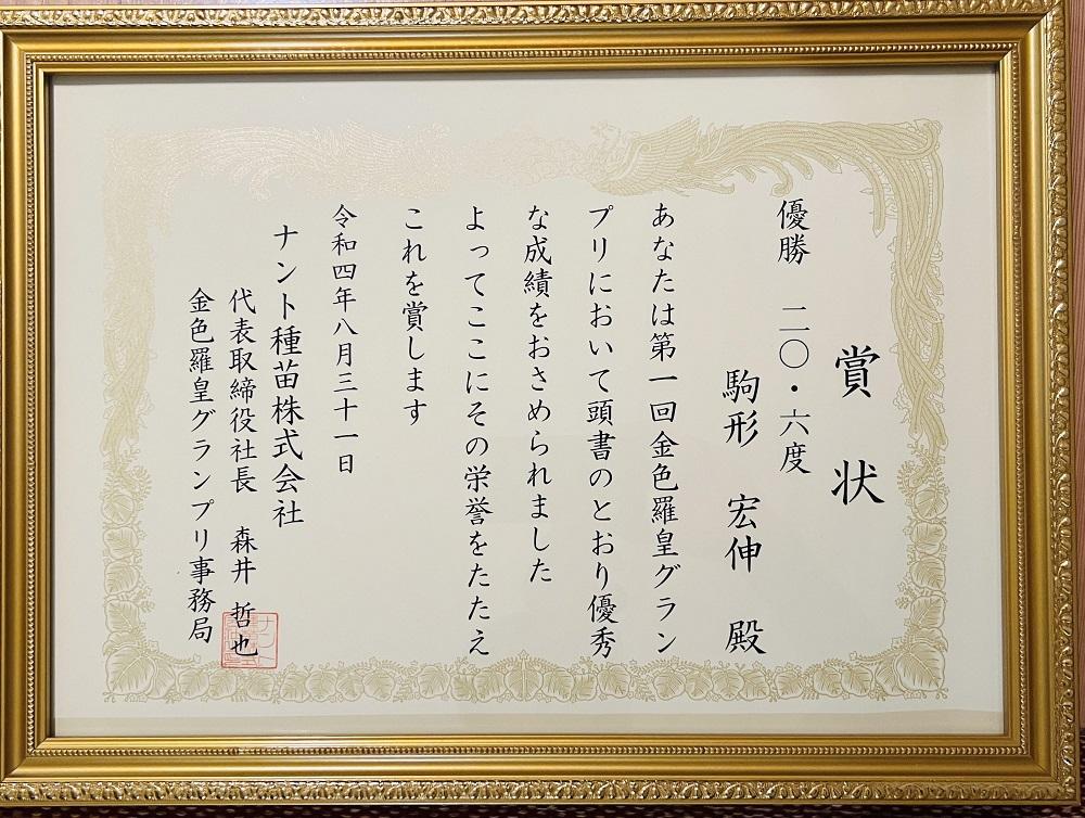 【2025年7月下旬〜8月上旬順次発送予定】糖度日本一・金賞W受賞 金色羅皇  最高級南魚沼八色産黄色スイカ「こまがた家の八色のスイカ」プレミアム大玉 1玉