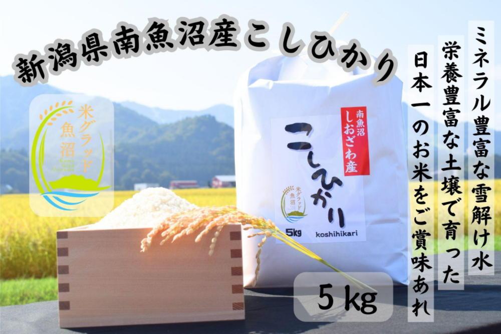 【美味】南魚沼産塩沢コシヒカリ　5kg
