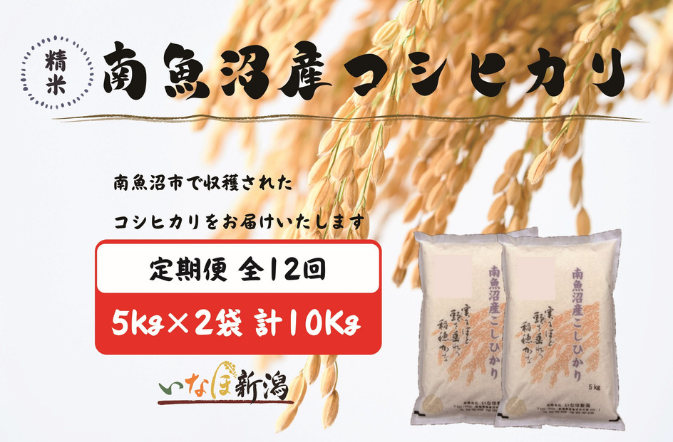 【令和7年産】【定期配送】南魚沼産コシヒカリ 白米 5kg×2袋(10kg) 全12回