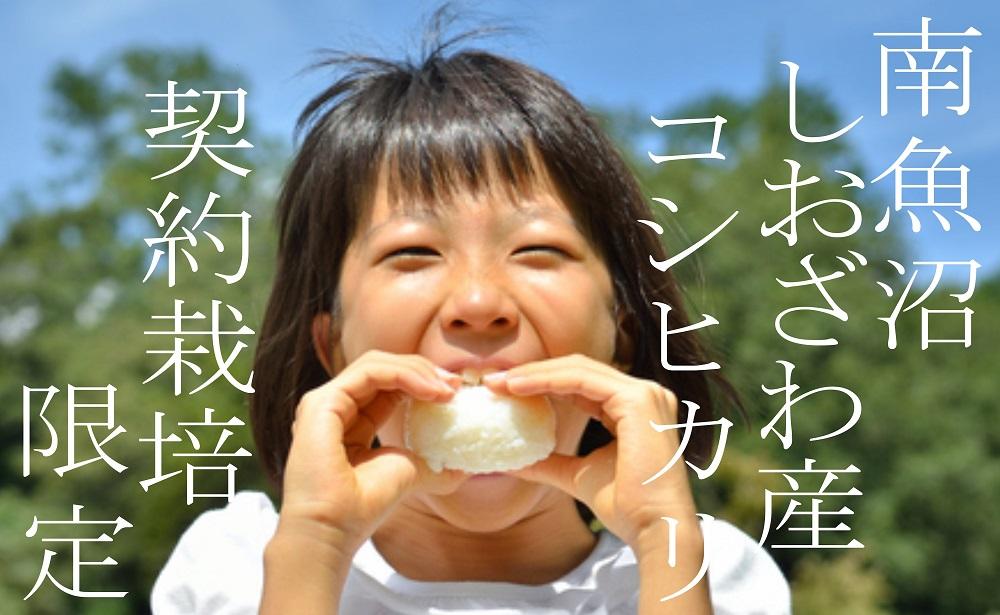 【令和7年産】【定期便】契約栽培限定 南魚沼しおざわ産コシヒカリ10Kg×6ヶ月