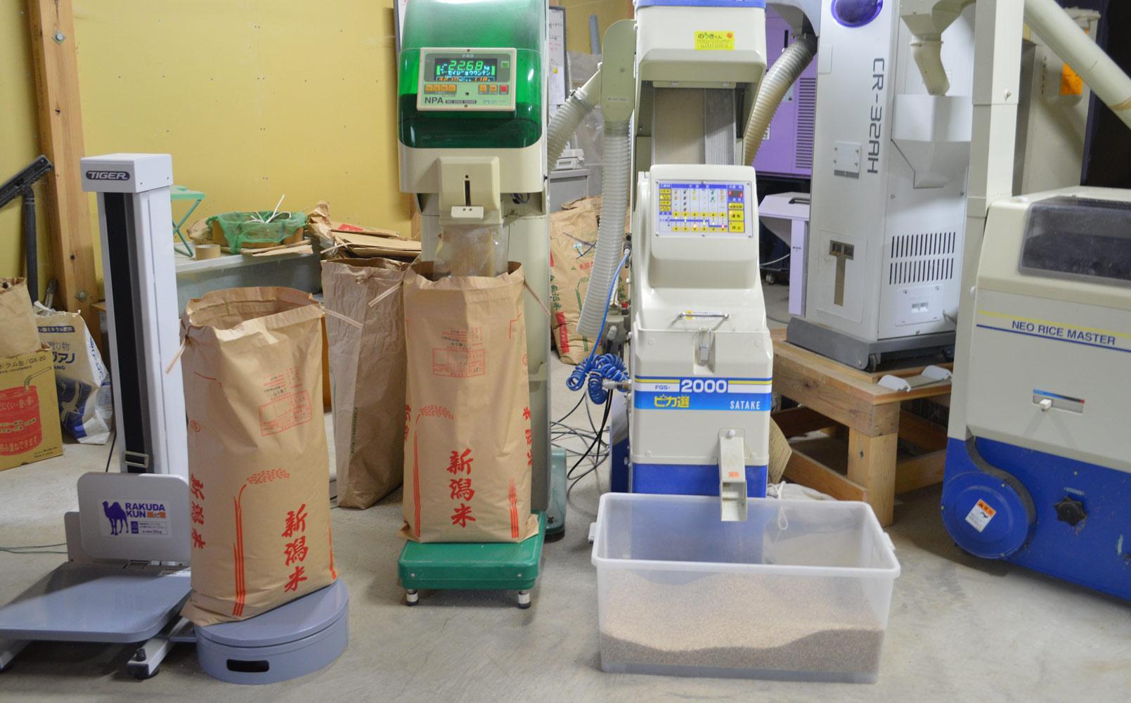 定期便【令和8年産新米予約】玄米5kg×6回 南魚沼産新之助＜6ヶ月定期便＞農家直送_AG【定期便 銘柄米 ブランド米 玄米 新之助 魚沼産 新潟米 産地直送 お米 米 こめ】【令和8年10月中旬から1ヶ月以内に順次発送予定】