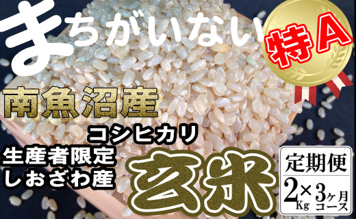 【定期便】玄米 生産者限定 南魚沼しおざわ産コシヒカリ2Kg×3ヶ月