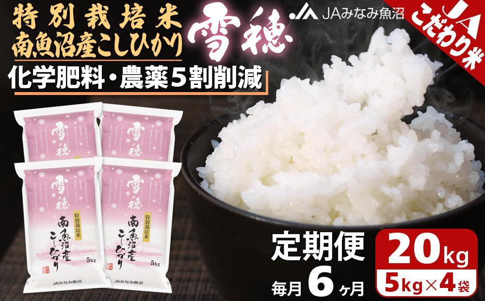 【JAみなみ魚沼定期便】特別栽培米南魚沼産こしひかり「雪穂」（20kg×全6回）精米 農薬5割削減 精米HACCP認定工場 特A獲得日本一産地 高品質精米 もっちり甘い 南魚沼産コシヒカリ