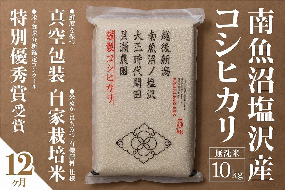 【定期便】「貝瀬農園米」農薬5割減栽培　南魚沼塩沢産コシヒカリ　無洗米10kg(5kg×2個)×全12回