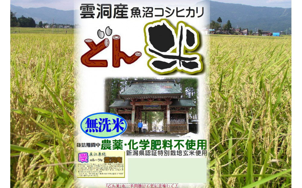 【頒布会】南魚沼産「どん米」無洗米真空パック4.8kg×５ヶ月　ちょっと！うるさいよ！炊き方