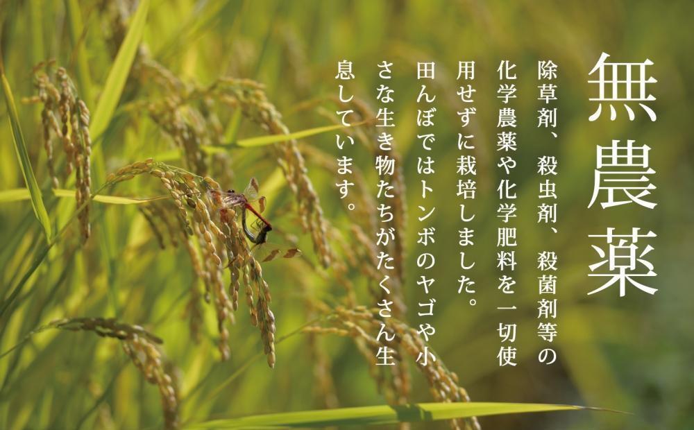 【頒布会】最高級 無農薬栽培米20kg（5kg×4個）×全6回 南魚沼産コシヒカリ