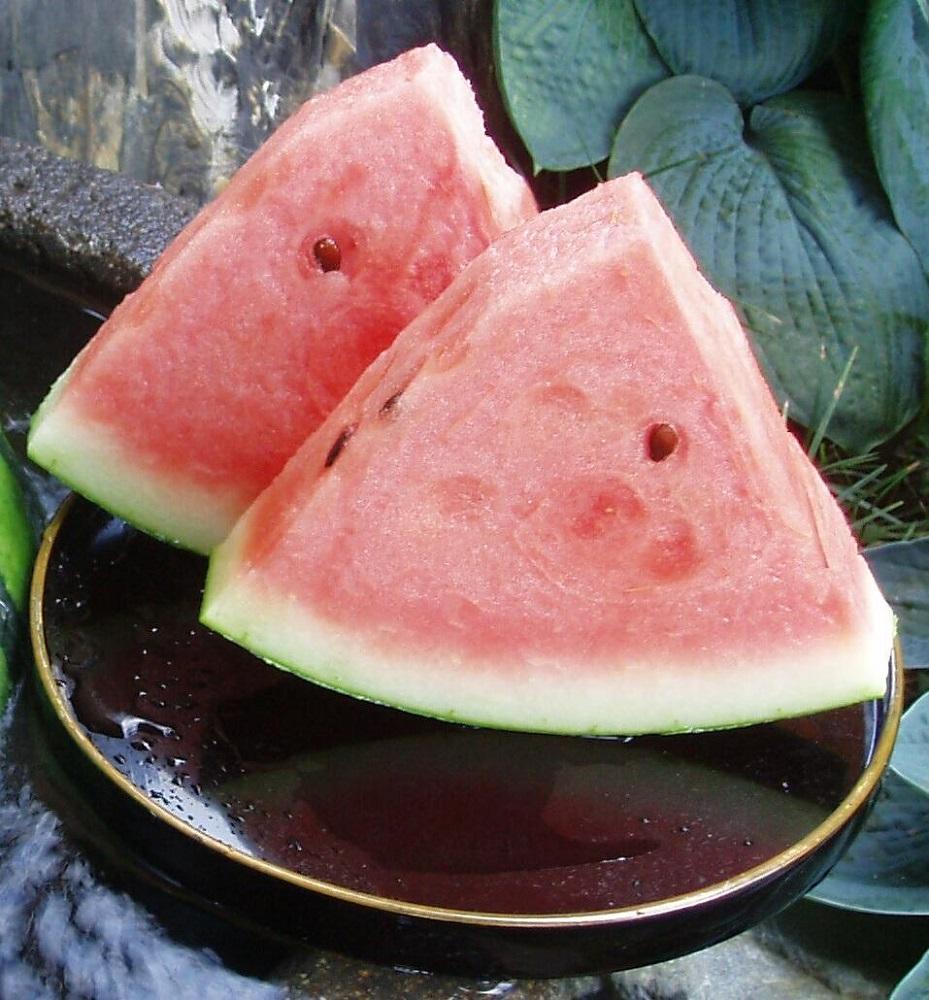 å
è¡äºçŽãæ°æœçåéæ²Œç£ãããããããå
«è²åã¹ã€ã« 倧çïŒçã2026幎7æäžæ¬çºéãããå±ãæ¥ææå®äžå¯ã