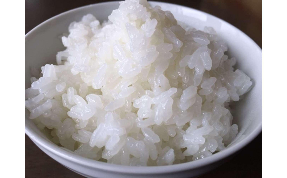 ã什å7幎床ããé åžäŒãæ¥æ¬ã®ãç±³ã®æé«å³°ãå±±éå°ç±³ãåéæ²Œç£ã³ã·ãã«ãª5kgÃ12ã«æ