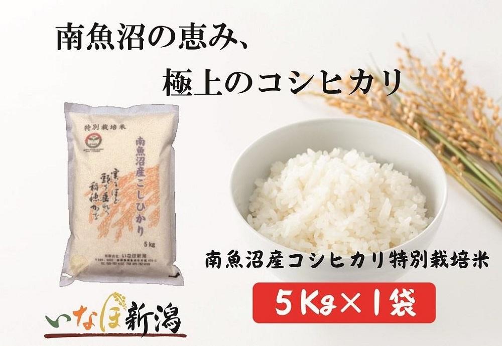 南魚沼産コシヒカリ特別栽培米 白米 ５kg