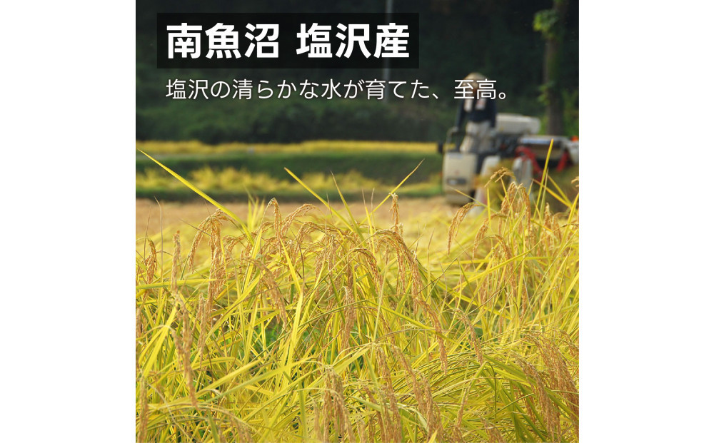 南魚沼 塩沢産 コシヒカリ パックご飯 150g 24パック