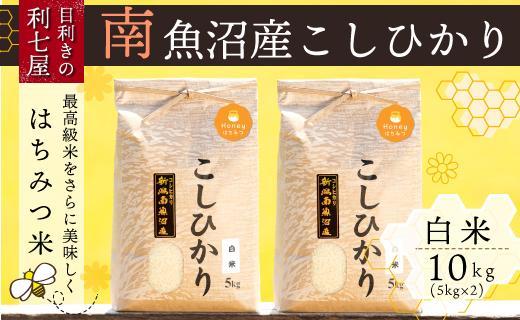 【令和6年産 新米予約】南魚沼産コシヒカリ『はちみつ米』白米10kg×全3回【新潟県 特A地区】【令和6年10月上旬より順次発送予定】