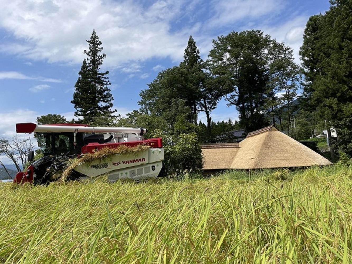 【R6年産新米予約】最優秀賞受賞【8割減農薬】最高峰南魚沼産こしひかり20kg(5kg×4)　桑原農産のお米(精米)