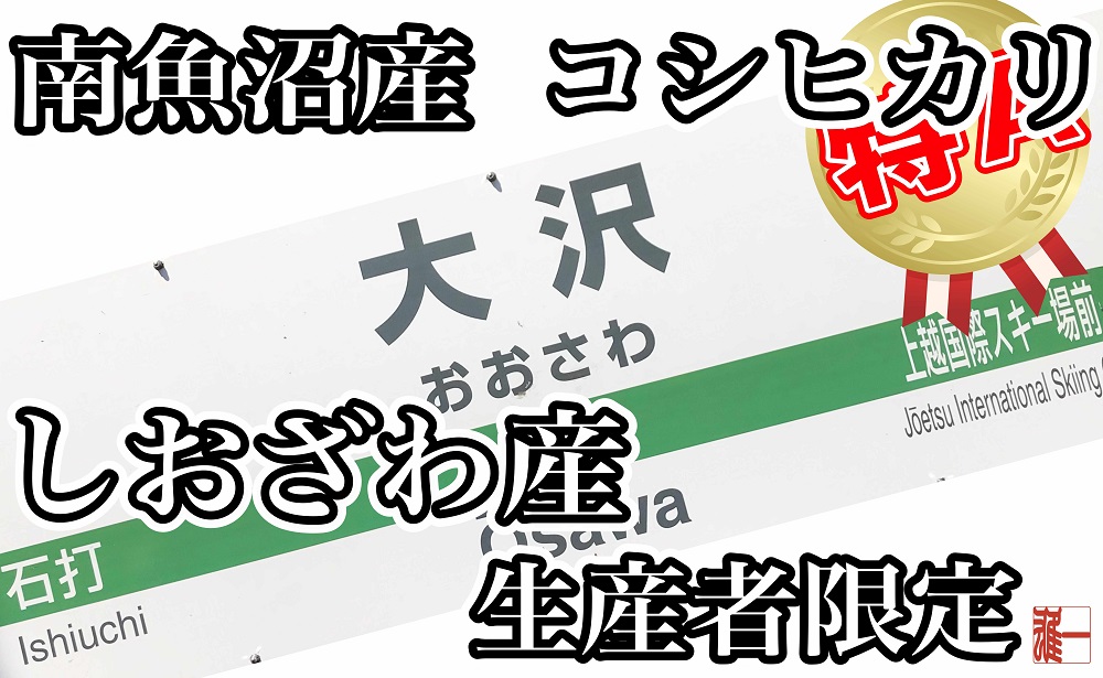 【定期便：４Kg×12ヶ月】生産者限定 契約栽培 南魚沼しおざわ産コシヒカリ