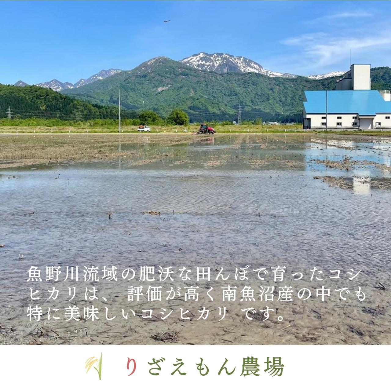 《新米予約受付》【定期便５回×玄米３０kg《合計150kg》】令和６年産　南魚沼産コシヒカリ　玄米 ３０kg　＼生産農家直送／