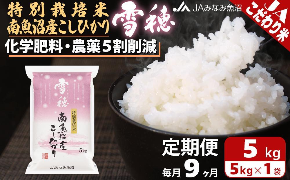 【JAみなみ魚沼定期便】特別栽培米南魚沼産こしひかり「雪穂」（5kg×全9回）精米 農薬5割削減 精米HACCP認定工場 特A獲得日本一産地 高品質精米 もっちり甘い 南魚沼産コシヒカリ