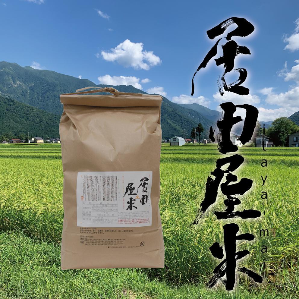 居田屋米itaya-mai 塩沢コシヒカリ精米10kg(5kg×2)