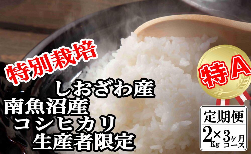 【令和7年産】【定期便：２Kg×3ヶ月】特別栽培 生産者限定  南魚沼しおざわ産コシヒカリ