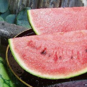 蜈郁。御コ育エ縲先眠貎溽恁蜊鈴ュ壽イシ逕」縲代舌o縺代≠繧翫大ォ濶イ蜴溘せ繧、繧ォ 蟆冗脂シ堤脂縲2026蟷エ7譛井クュ譌ャ逋コ騾√代舌♀螻翫¢譌・譎よ欠螳壻ク榊庄縲