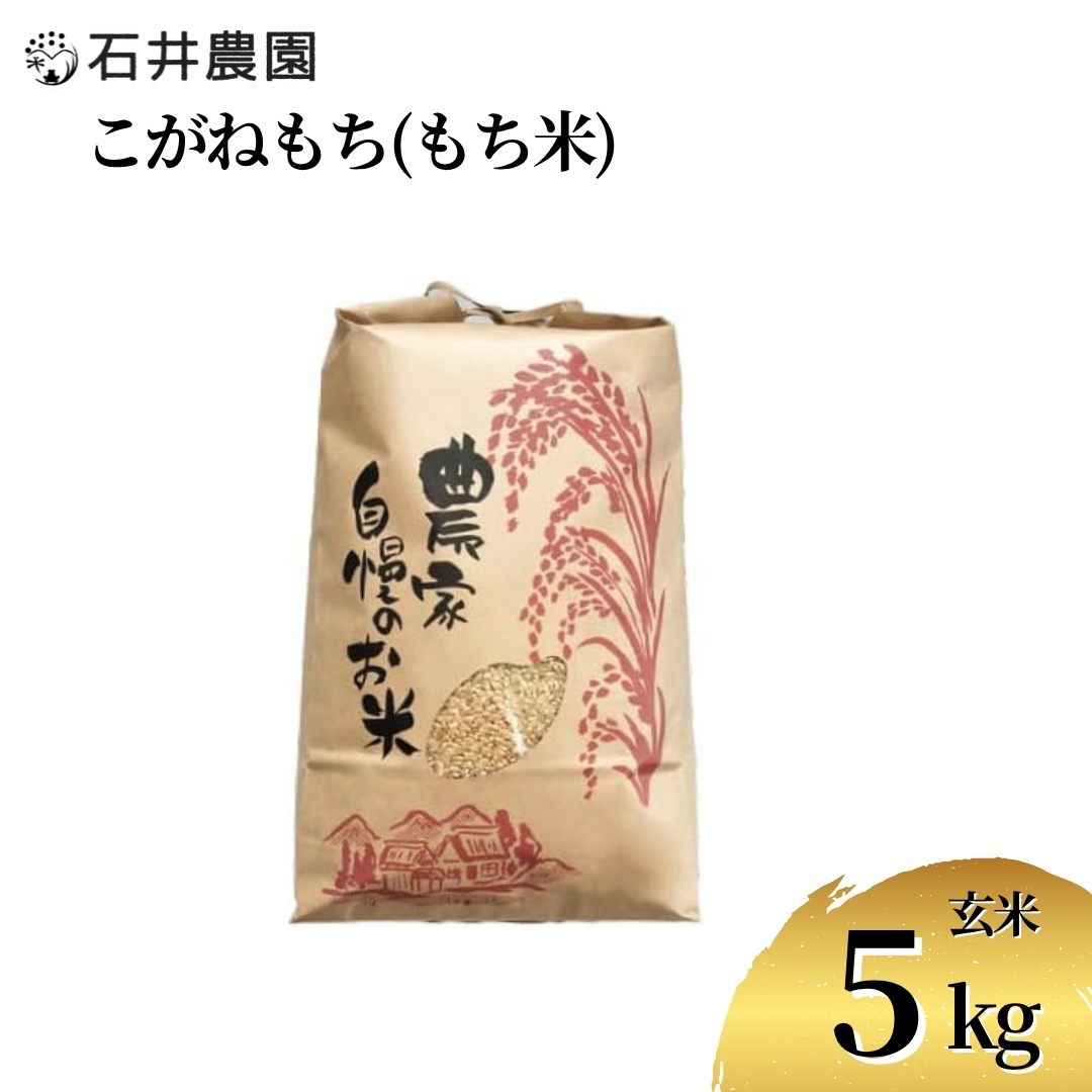 新潟県弥彦村石井農園 令和7年産 こがねもち＜玄米 5kg＞玄米もち、玄米おはぎ、玄米おこわ等に