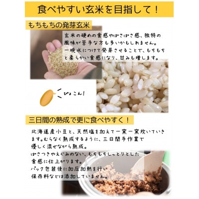 熟成3日 発芽玄米ご飯 パックご飯 6個(3パック×2セット) コシヒカリで作った酵素玄米【1497864】