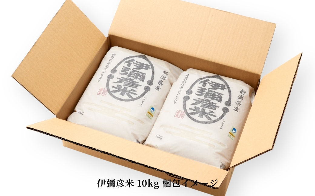 莉、蜥7蟷エ逕」迚ケ蛻・譬ス蝓ケ邀ウ繧ウ繧キ繝偵き繝ェ 莨雁ス悟スヲ邀ウ 10kg(5kgテ2陲)譁ー貎溽恁逕」 邊セ邀ウ 蠑・蠖ヲ譚