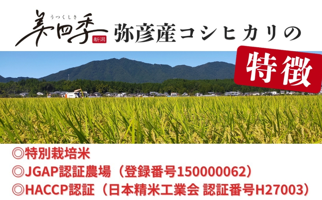 令和7年産 新潟県弥彦産コシヒカリ 美四季10kg(5kg×2袋) 皇室献上米農家生産 特別栽培米