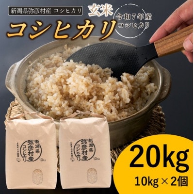 新潟県弥彦村石井農園　令和7年産 コシヒカリ【玄米 20kg】【1538645】