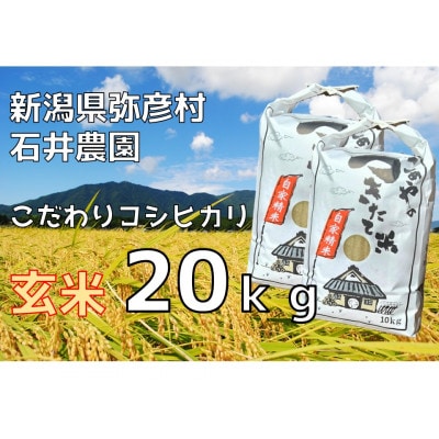 【新米】新潟県弥彦村石井農園　令和6年(2024年)産 コシヒカリ【玄米 20kg】【1538645】