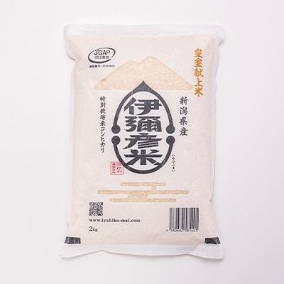 【伊彌彦米とパックごはんセット】精米2kg×4袋　パックごはん8パック【1107194】