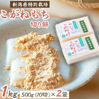 【令和6年産・新潟県特別栽培】こがねもち「切り餅」1kg【1000688】