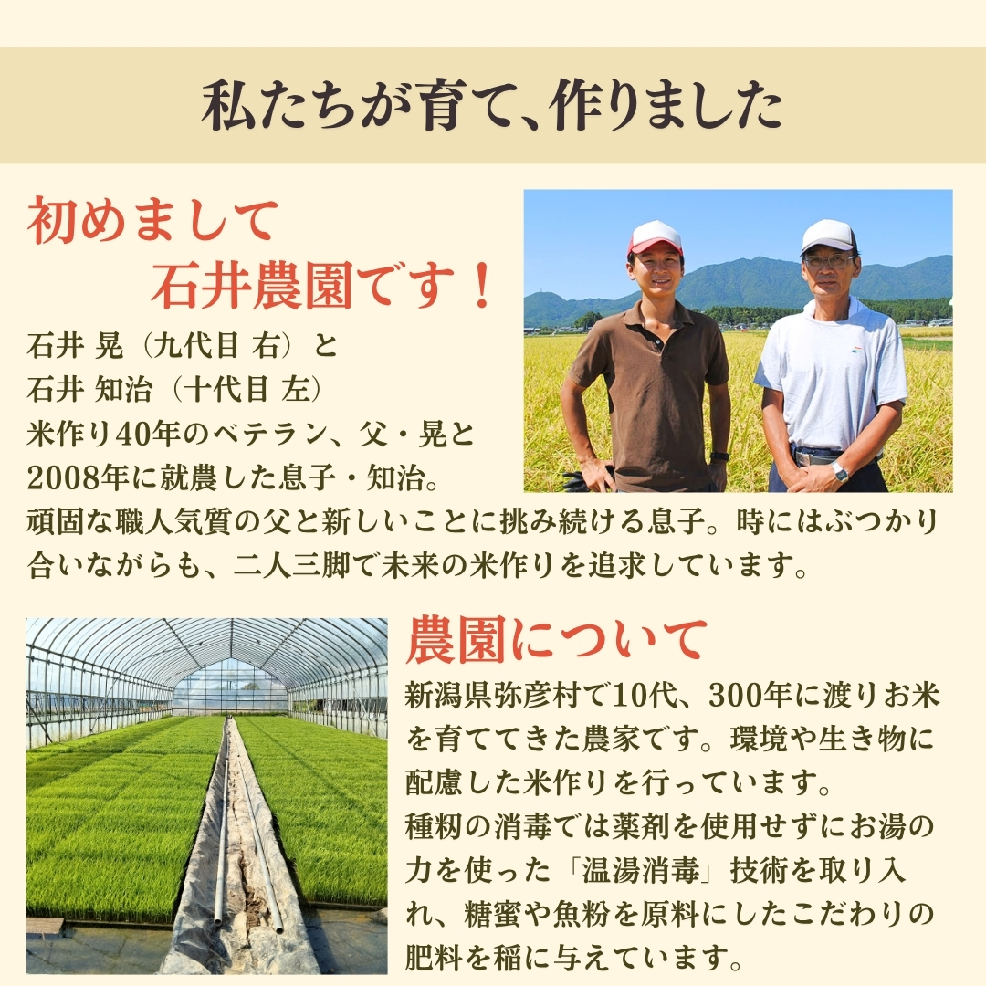 新潟県弥彦村石井農園 令和7年産 こがねもち＜玄米 10kg＞玄米もち、玄米おはぎ、玄米おこわ等に