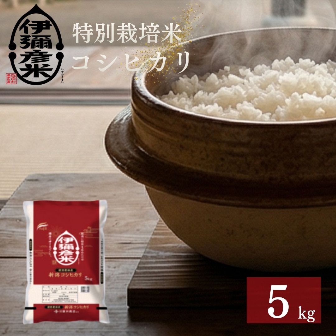 令和7年産特別栽培米コシヒカリ「伊彌彦米」5kg
