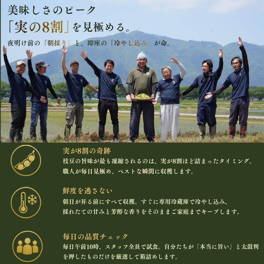 【先行予約】 朝どり新鮮 新潟 枝豆 えだまめ 茶豆 1kg | 特産品 野菜 おつまみ 晩酌 濃厚な甘さ お取り寄せ おすすめ プレゼント ギフト 贈答 贈り物 1キロ 新潟県 弥彦村 農事組合法人 サンファーム大戸