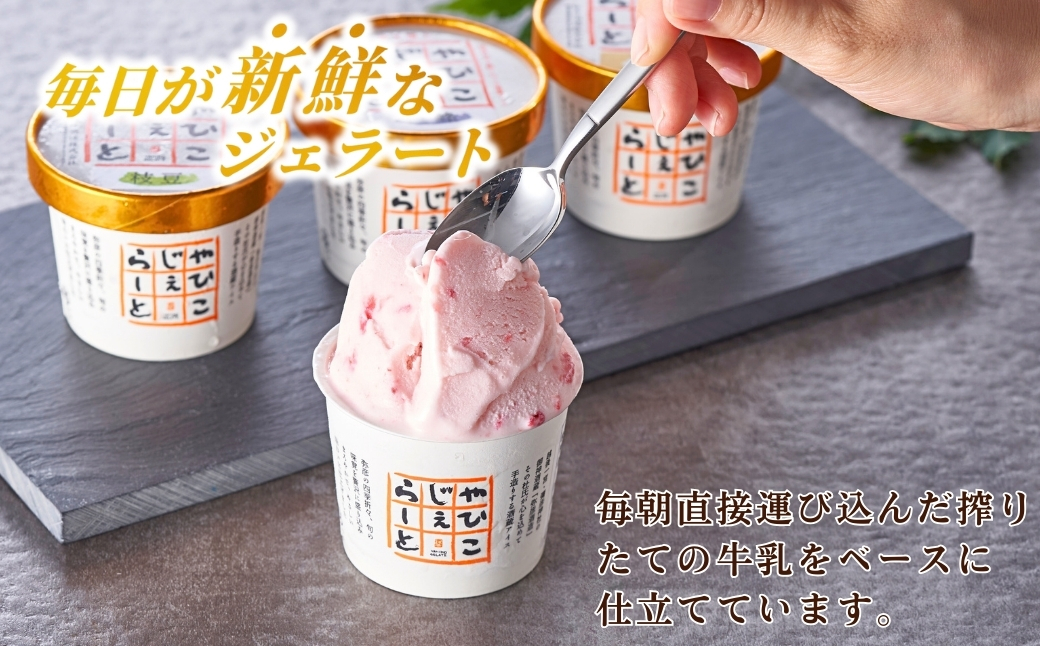 絞りたて牛乳で製造した『やひこジェラート』酒粕 いちご 巨峰 枝豆