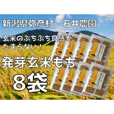 ぷちぷち食感がたまらない「発芽玄米餅」　8袋　新潟県弥彦村産「こがねもち」100%使用【1554476】