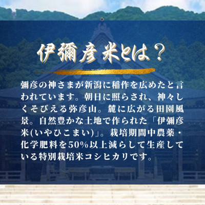 【彌彦神社奉納祭献上】「伊彌彦米」令和6年産特別栽培米弥彦コシヒカリ 新潟県 弥彦村【1010792】