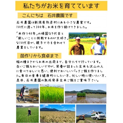 熟成3日 発芽玄米ご飯 パックご飯 30個(3パック×10セット) コシヒカリで作った酵素玄米【1497867】