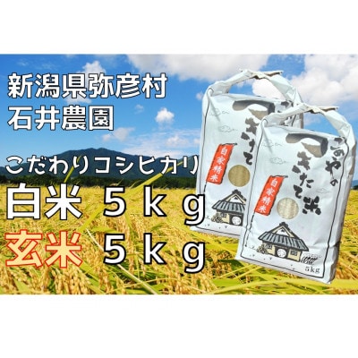 【新米】新県弥彦村石井農園　令和6年産コシヒカリ白米・玄米 食べ比べセット【白米5kg、玄米5kg】【1508848】