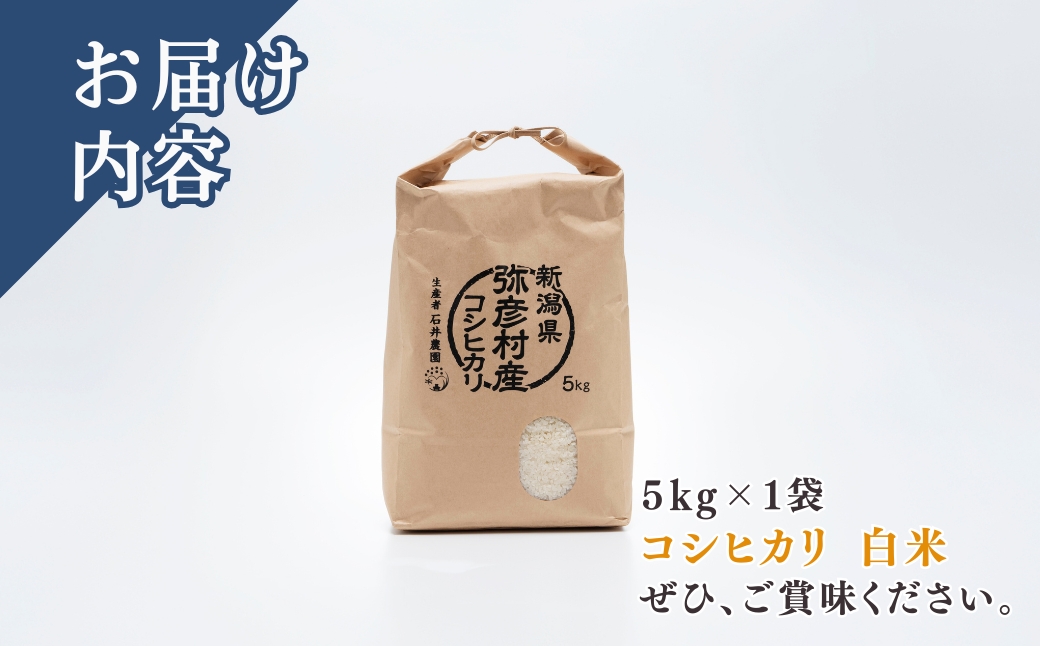 新潟県弥彦村石井農園 令和7年産コシヒカリ【白米 5kg】